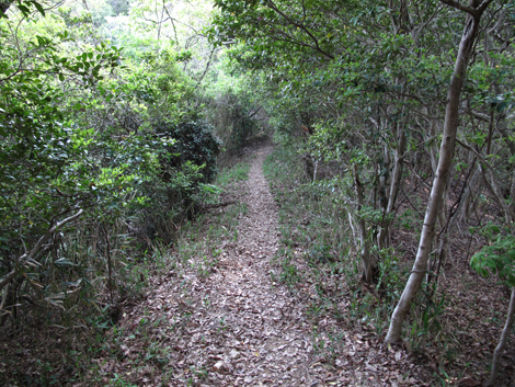 20140426hike (364)